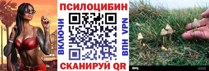 продажа наркотиков  Грозный  Псилоцибиновые грибы ЛСД 